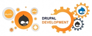 dinpl-drupal-siteimage